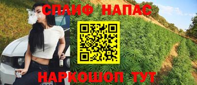 сатива Будённовск